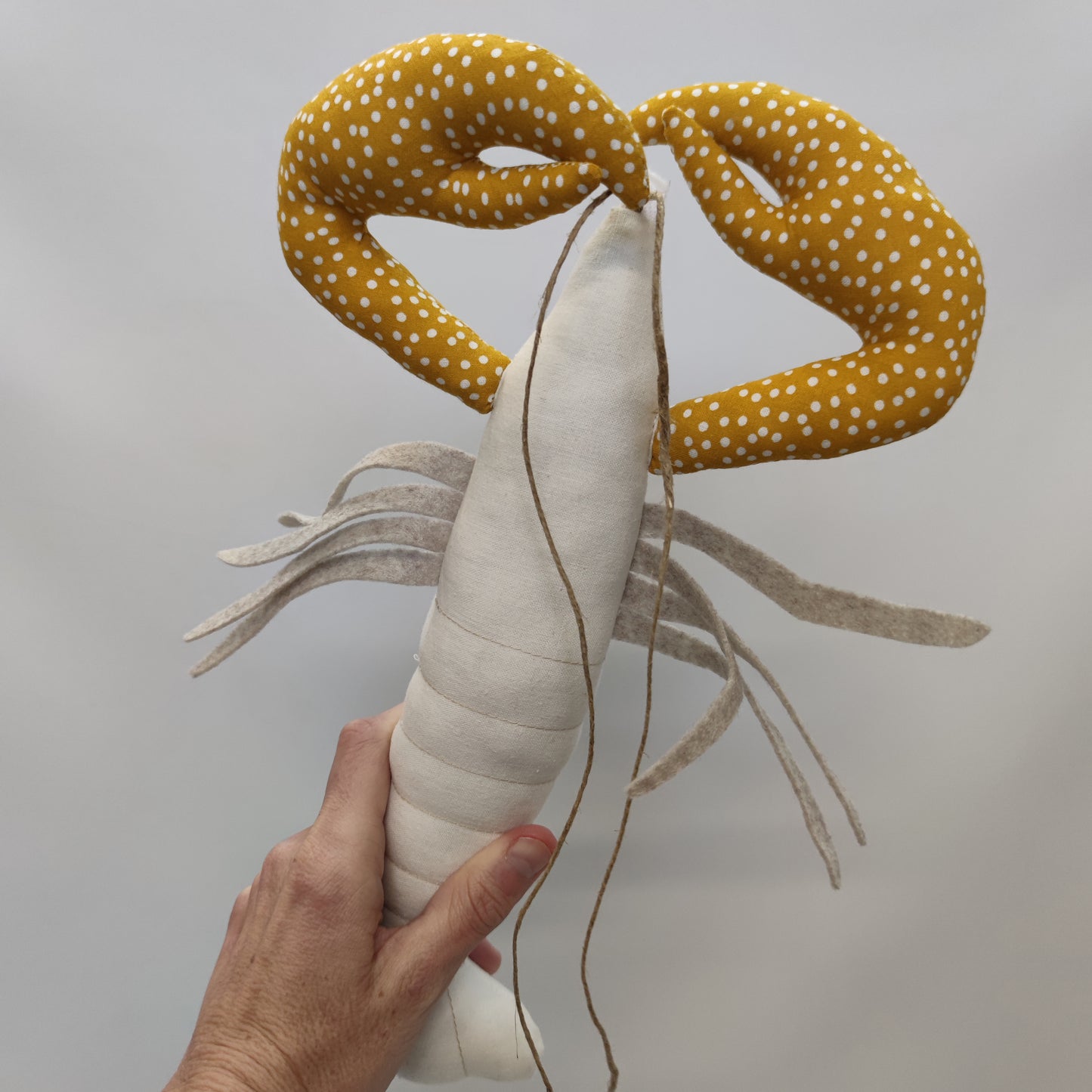 SUR COMMANDE - Mr Homard
